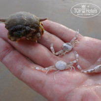 фото из отзыва ID 670535