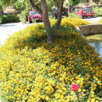 фото из отзыва ID 670081