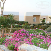 фото из отзыва ID 670081