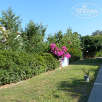 фото из отзыва ID 670927