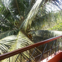 фото из отзыва ID 671059