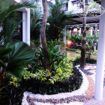 фото из отзыва ID 671161