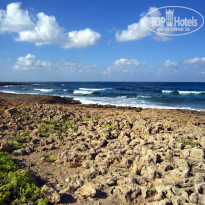 фото из отзыва ID 671260