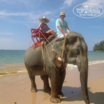 фото из отзыва ID 671339