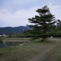 фото из отзыва ID 671443