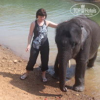 фото из отзыва ID 671503