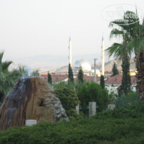 фото из отзыва ID 671519