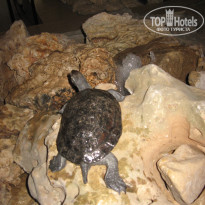 фото из отзыва ID 671519