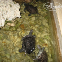 фото из отзыва ID 671519