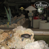 фото из отзыва ID 671519