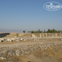 фото из отзыва ID 671519