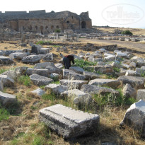 фото из отзыва ID 671519