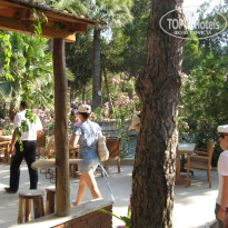 фото из отзыва ID 671519