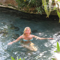 фото из отзыва ID 671519