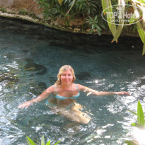 фото из отзыва ID 671519