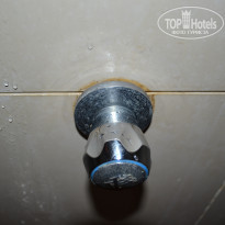 фото из отзыва ID 671714