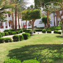 фото из отзыва ID 671890