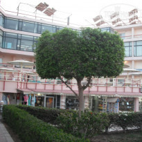 фото из отзыва ID 671922