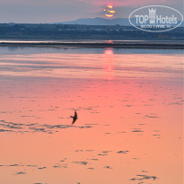 фото из отзыва ID 671963