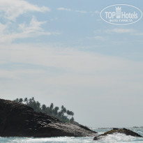 фото из отзыва ID 672180