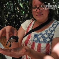 фото из отзыва ID 672180