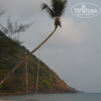 фото из отзыва ID 672088