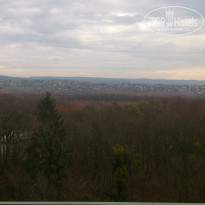 фото из отзыва ID 672183