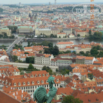 фото из отзыва ID 672191