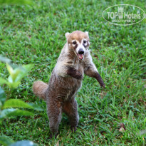 фото из отзыва ID 672343