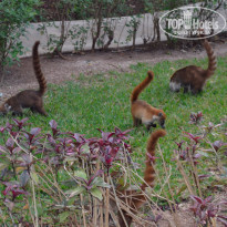 фото из отзыва ID 672349