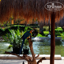 фото из отзыва ID 672349