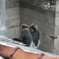 фото из отзыва ID 672385