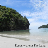 фото из отзыва ID 672412