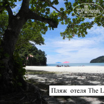 фото из отзыва ID 672412