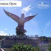 фото из отзыва ID 672412