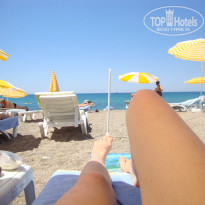 фото из отзыва ID 672569