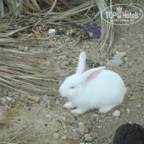 фото из отзыва ID 672569