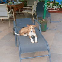 фото из отзыва ID 672713