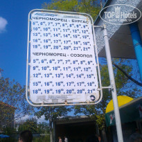 фото из отзыва ID 672983