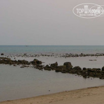 фото из отзыва ID 67202