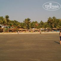 фото из отзыва ID 673748