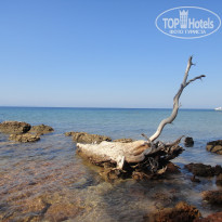 фото из отзыва ID 673239