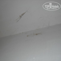 фото из отзыва ID 673348