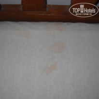 фото из отзыва ID 673348