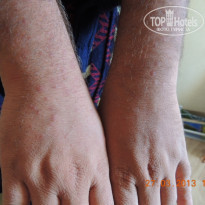 фото из отзыва ID 673454