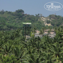 фото из отзыва ID 673648