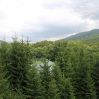 фото из отзыва ID 673944