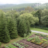 фото из отзыва ID 673944