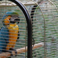 фото из отзыва ID 673944