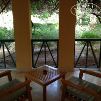 фото из отзыва ID 673964